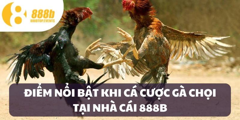 Điểm nổi bật của sảnh