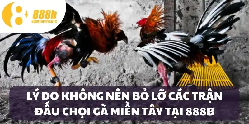 Điểm hấp dẫn của loại hình