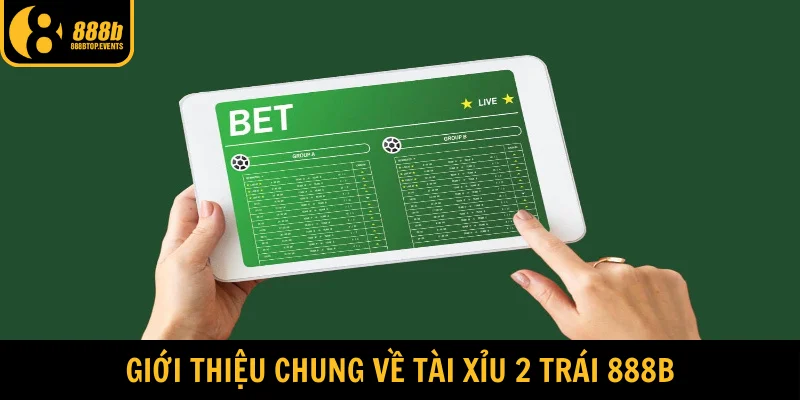 Giới thiệu chung về tài xỉu 2 trái 888b